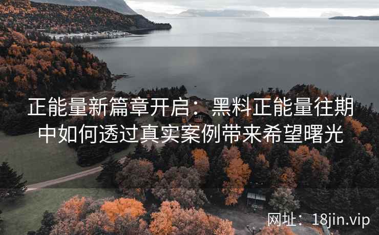 正能量新篇章开启：黑料正能量往期中如何透过真实案例带来希望曙光
