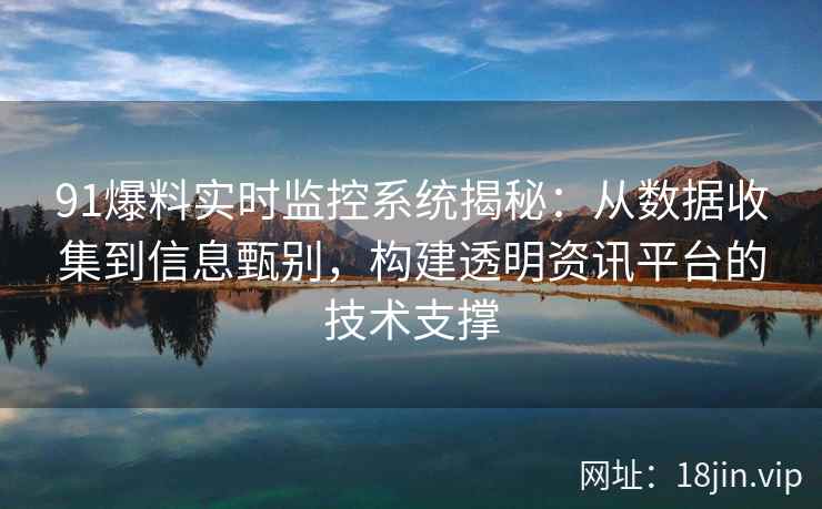 91爆料实时监控系统揭秘：从数据收集到信息甄别，构建透明资讯平台的技术支撑